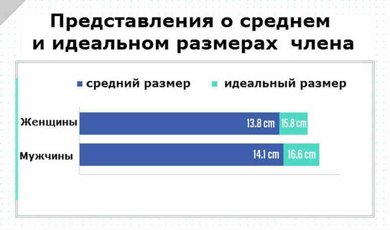 Представление о среднем и идеальном размерах члена